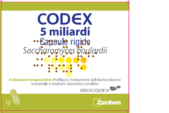 CODEX*12CPS 5MLD 250MG - Farmadott.it
