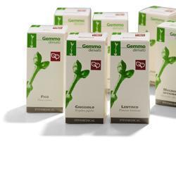 RIBES NERO MACERATO GLICERICO 100 ML - Farmadott.it