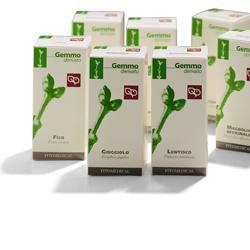 AGNOCASTO MACERATO GLICERICO 200 ML - Farmadott.it