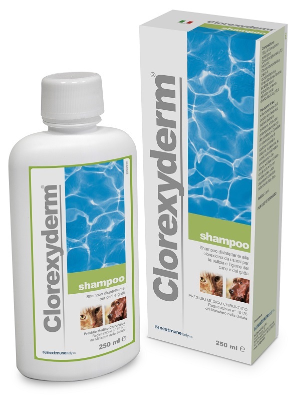 CLOREXYDERM SHAMPOO 250 ML - Farmadott.it