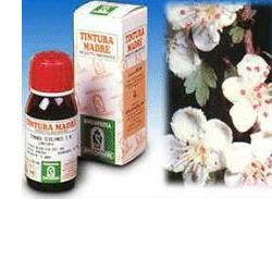 BIANCOSPINO 10 50ML TM - Farmadott.it