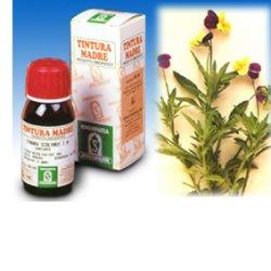VIOLA DEL PENSIERO 32 50ML TM - Farmadott.it