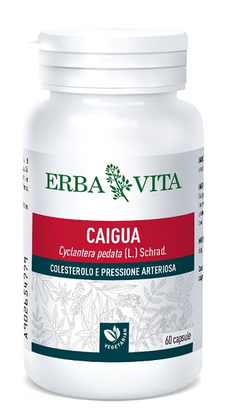CAIGUA 60 CAPSULE 400 MG - Farmadott.it
