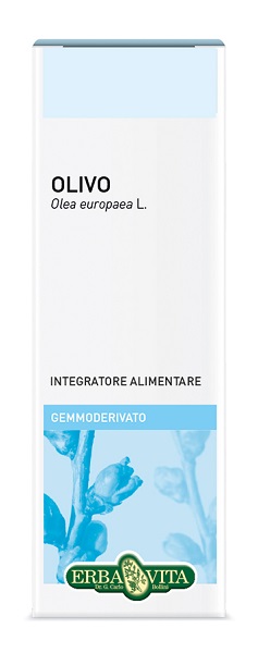 GEMMODERIVATO OLIVO 50 ML - Farmadott.it