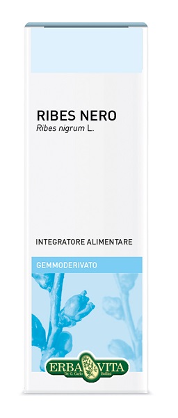GEMMODERIVATO RIBES NERO 50 ML - Farmadott.it