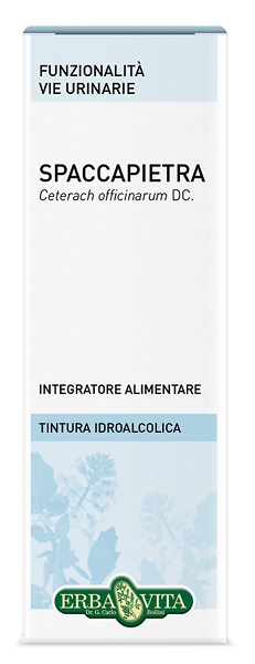 SPACCAPIETRA TINTURA IDROALCOLICA 50 ML EBV - Farmadott.it