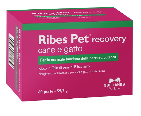 RIBES PET RECOVERY BLISTER 60 PERLE - Farmadott.it