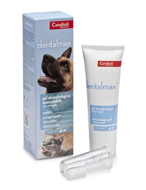 DENTALMAX GEL STOMATOLOGICO 50 ML - Farmadott.it