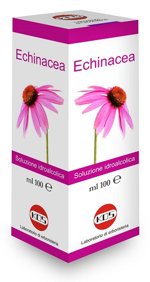 ECHINACEA SOLUZIONE IDROALCOLICA PIANTA FRESCA 100 ML - Farmadott.it