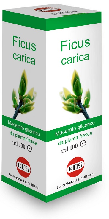 FICUS CARICA MACERATO GLICERICO 100 ML - Farmadott.it
