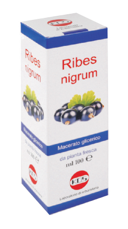 RIBES NIGRUM MACERATO GLICERICO 100 ML GOCCE - Farmadott.it