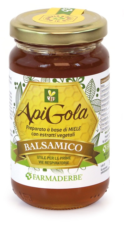 APIGOLA MIELE BALSAMICO 250 G - Farmadott.it