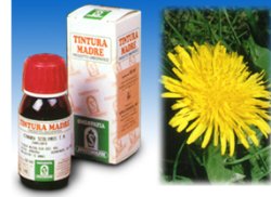 TARASSACO 28 50ML TM - Farmadott.it