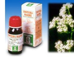 VALERIANA 36 TINTURA MADRE 50 ML - Farmadott.it