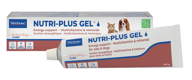 NUTRIPLUS GEL PASTA ORALE 120 G - Farmadott.it