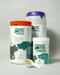 GLAZARDERM PREMISCELA FLACONE 150 G - Farmadott.it