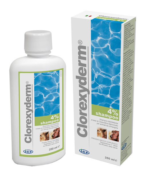 CLOREXYDERM SHAMPOO 4% 250 ML - Farmadott.it