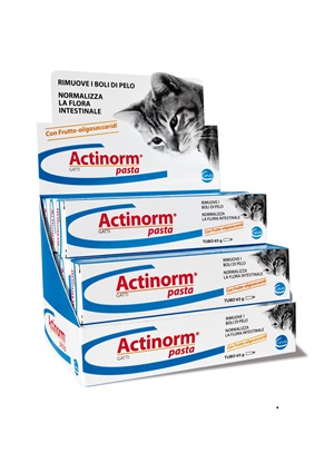 ACTINORM PASTA GATTI 65 G - Farmadott.it
