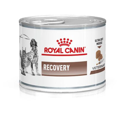 VETERINARY DIET WET DOG & CAT RECOVERY 195 G - Farmadott.it
