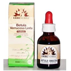 FITOBLASTO BETULLA VERRUCOSA LINFA 50 ML - Farmadott.it