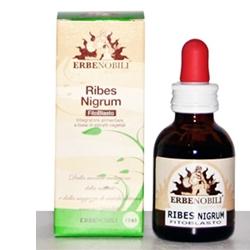 FITOBLASTO RIBES NIGRUM 50 ML - Farmadott.it