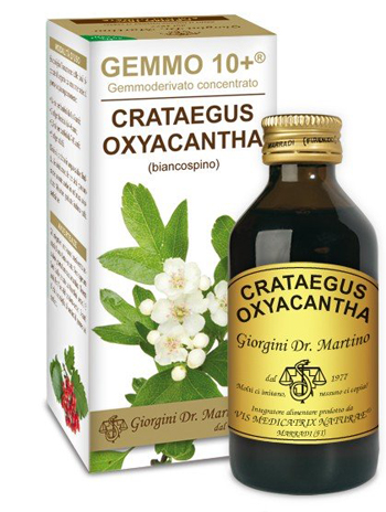 GEMMO 10+ BIANCOSPINO LIQUIDO ANALCOLICO 100 ML - Farmadott.it