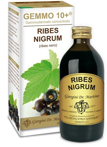 GEMMO 10+ RIBES NERO 200 ML LIQUIDO ANALCOLICO - Farmadott.it