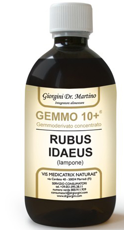 GEMMO 10+ GEMMODERIVATO CONCENTRATO LIQUIDO ANALCOLICO RUBUS IDEAUS LAMPONE 500 ML - Farmadott.it