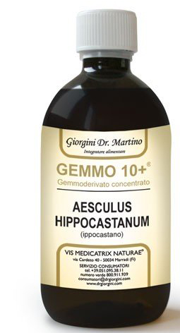GEMOO 10+ GEMMODERIVATO CONCENTRATO IPPOCASTANO LIQUIDO ANALCOLICO AESCULUS HIPPOCASTANUM IPPOCASTANO 500 ML - Farmadott.it