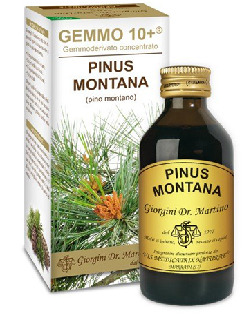 GEMMO 10+ PINO MONTANO 100 ML LIQUIDO ANALCOLICO - Farmadott.it