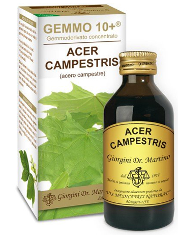 GEMMO 10+ ACERO CAMPESTRE 100 ML LIQUIDO ANALCOLICO - Farmadott.it