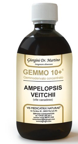 GEMMO 10+ GEMMODERIVATO CONCENTRATO LIQUIDO ANALCOLICO AMPELOPSIS VEITCHI VITE CANADESE 500 ML - Farmadott.it