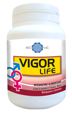 VIGOR LIFE 40 CAPSULE - Farmadott.it