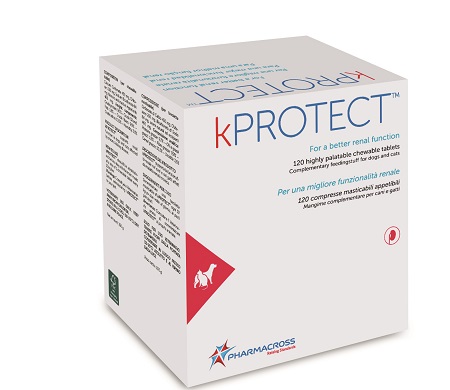 KPROTECT 120 COMPRESSE MASTICABILI - Farmadott.it