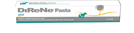 DIRENE PASTA 15 ML - Farmadott.it