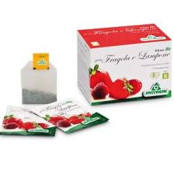 INFUSO BIO FRAGOLA E LAMPONE 20 FILTRI - Farmadott.it
