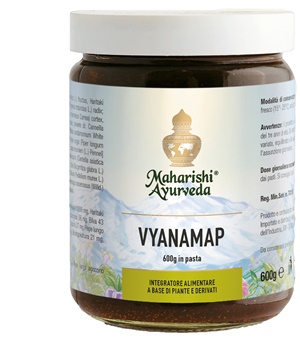VYANAMAP PASTA 600 G - Farmadott.it