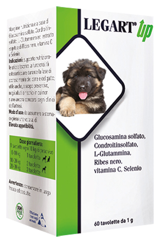 LEGART UP 60 COMPRESSE DA 1 G - Farmadott.it