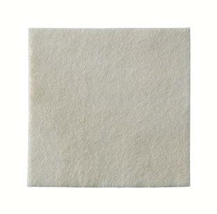MEDICAZIONE BIATAIN ALGINATE AG ALGINATO CON ARGENTO 10X10CM 10 PEZZI - Farmadott.it