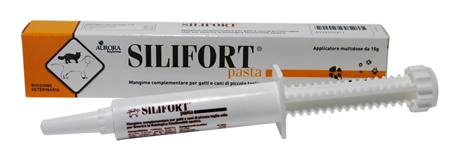 SILIFORT PASTA OS SIRINGA 15 G - Farmadott.it