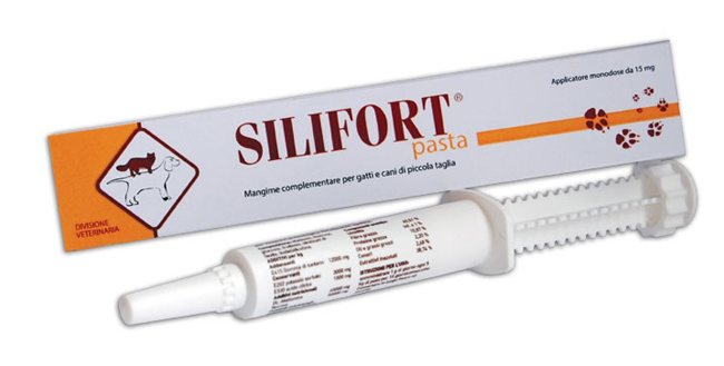 SILIFORT PASTA OS SIRINGA 30 G - Farmadott.it