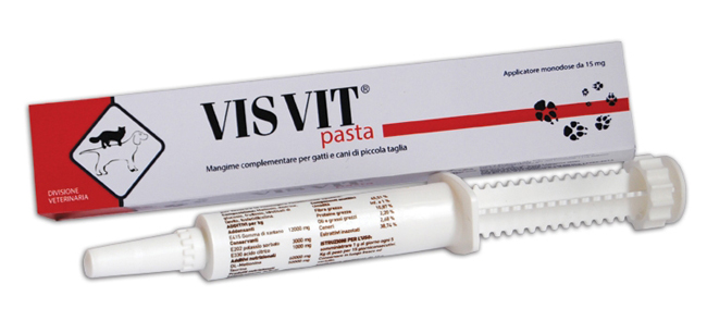 VISVIT PASTA OS SIRINGA 15 G - Farmadott.it