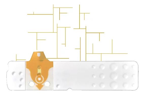 STRISCE MISURAZIONE GLICEMIA LINEA D ORO 25 PEZZI - Farmadott.it