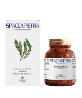 SPACCAPIETRA 50 CAPSULE - Farmadott.it