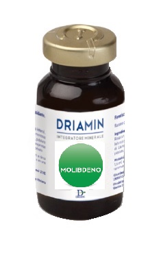 DRIAMIN MOLIBDENO 15 ML - Farmadott.it