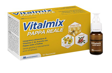VITALMIX PAPPA REALE 10FLACONCINI X10 ML S/GL - Farmadott.it