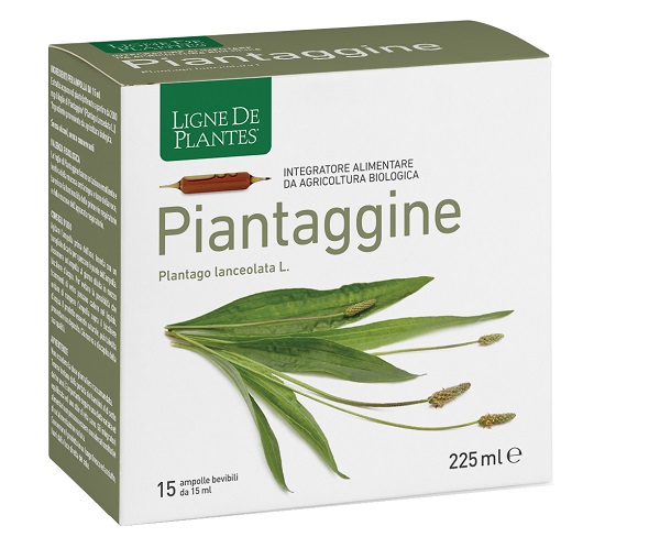 PIANTAGGINE 15 AMPOLLE BEVIBILI 15 ML - Farmadott.it