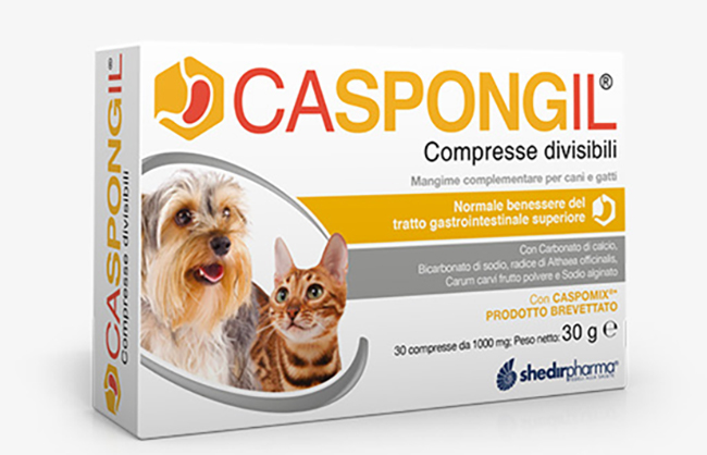 CASPONGIL 30 COMPRESSE DIVISIBILI - Farmadott.it