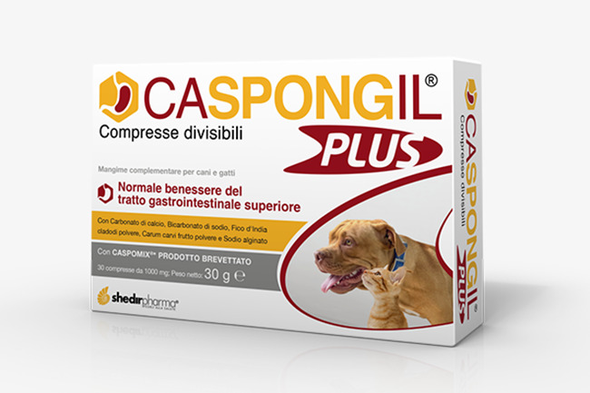CASPONGIL PLUS 30 COMPRESSE - Farmadott.it