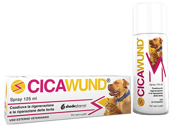 CICAWUND SPRAY 125 ML - Farmadott.it